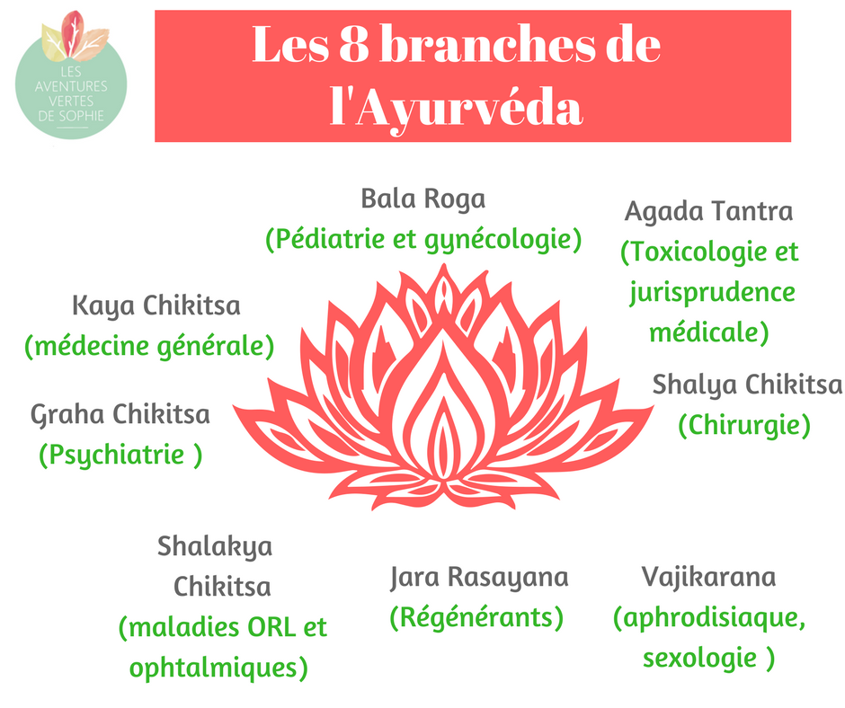 Les huit branches de l'Ayurvéda